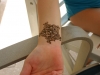 henna-corporate-entertaiment-14