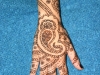 henna-hand-design-14