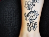 jagua3