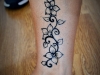 jagua4