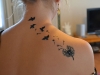 jagua_back