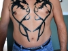 jagua_chest